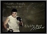 Muhammad Ali, Boks