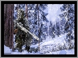 Śnieg, Snajper, Gra, Las, Zima, Żołnierz, Battlefield 4, Drzewo