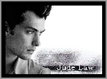 Jude Law, profil twarzy