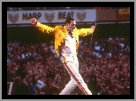 Kurtka, Freddie Mercury, Żółta