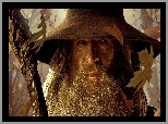 Liście, Ian McKellen, Gandalf
