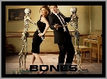 Bones, Serial, Szkielety, Emily Deschanel, Kości, David Boreanaz