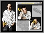 słonecznik, Elijah Wood, koszula