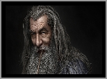 Gandalf Szary, Ian McKellen, Hobbit, Portret, Czarodziej, Twarz