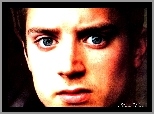 twarz, Elijah Wood, niebieskie oczy