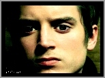 zielone oczy, Elijah Wood, twarz