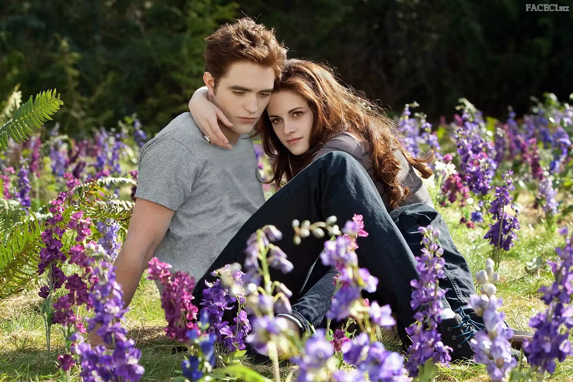 Kwiaty, Kristen Stewart, Łąka, Robert Pattinson