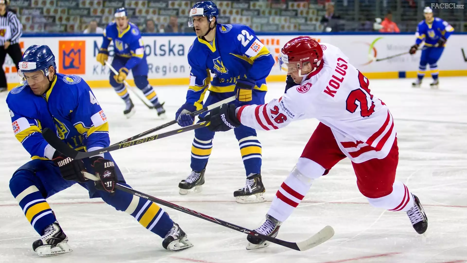 Mecz Polska - Ukraina, Mistrzostwa Świata Dywizji 1A Kraków 2015, Zawodnicy, Hokej, Marcin Kolusz