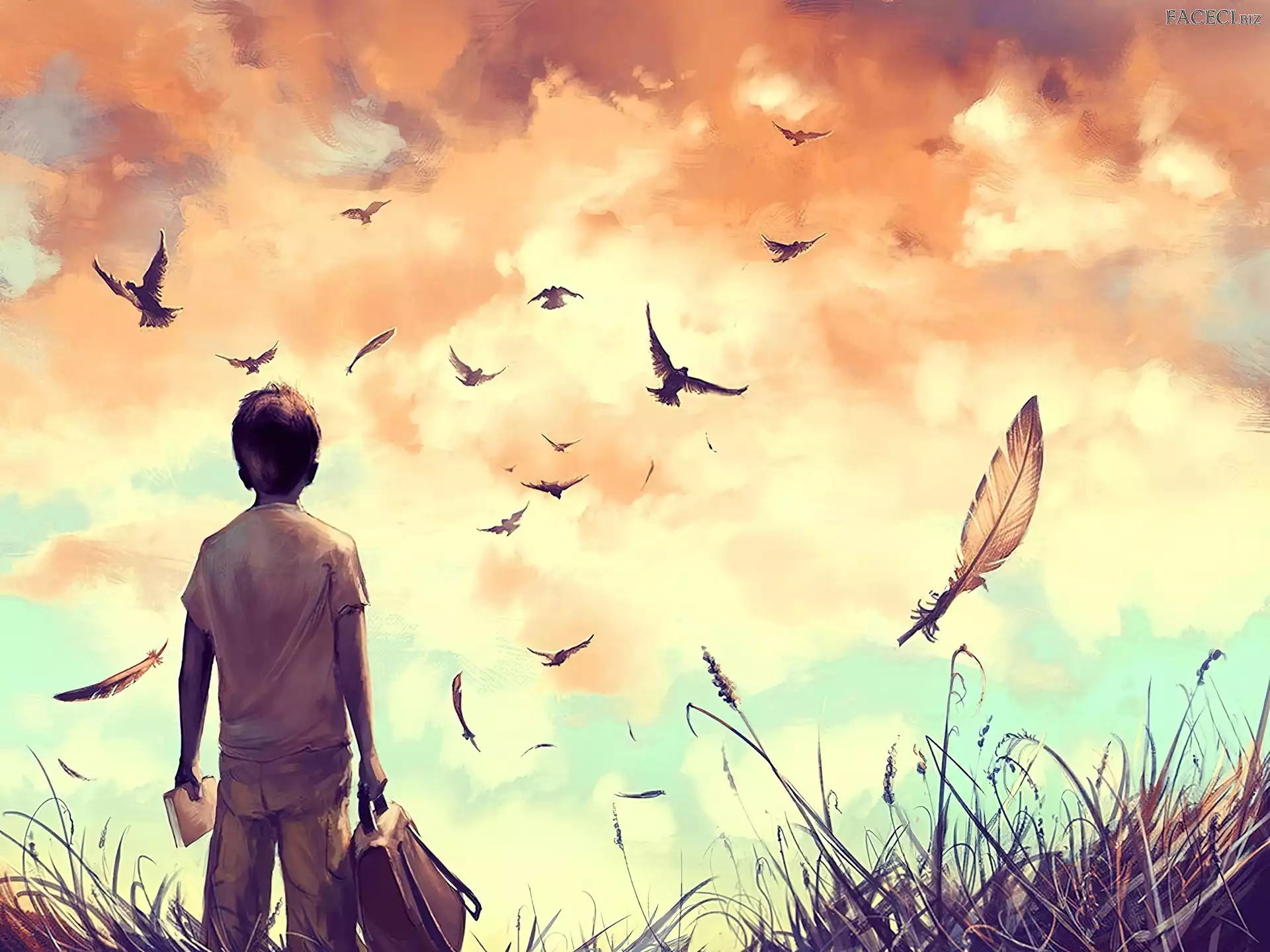 Ptaki, Cyril Rolando, Chłopak